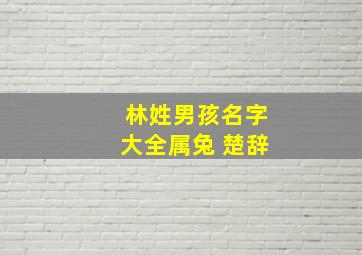 林姓男孩名字大全属兔 楚辞